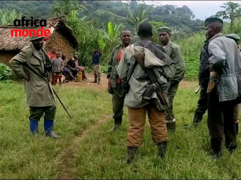 70 ex-combattants des Forces démocratiques de libération du Rwanda,