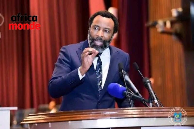 Le député national Crispin Mbindule, du Nord Kivu 