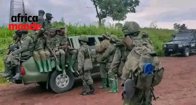 Les militaires du mouvement m23 à l'Est dela république démocratique du Congo 