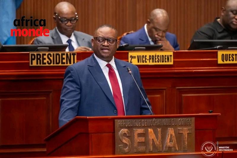 Le Ministre des Finances, Doudou Fwamba Likunde,