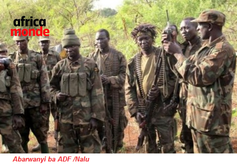 Les rebelles des ADF à l'Est dela RDC 