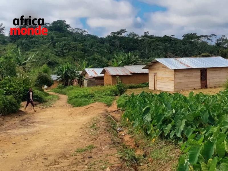 Village biakato dans le territoire de mambasa 