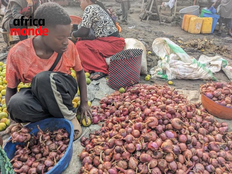 Des vendeurs des oignons dans un marché de GOMA 