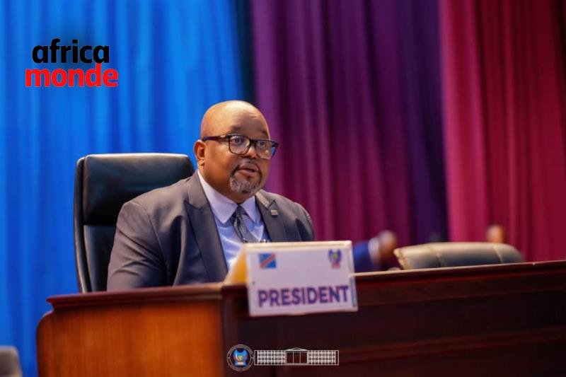 Le président de l'Assemblée nationale Aimé Boji Sangara 