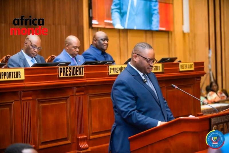le ministre des Finances Doudou Fwamba Likunde Li-Botayi 