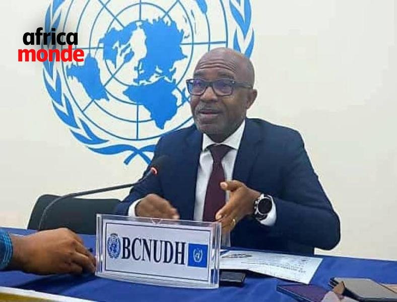 Le coordinateur conjoint des Nations unies aux droits de l'homme (BCNUDH) 