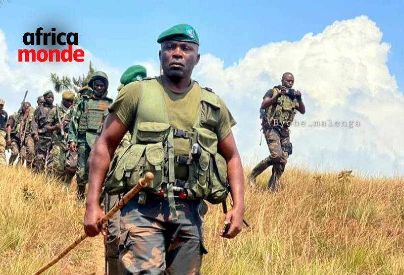 Les Forces armées de la République démocratique du Congo (FARDC)