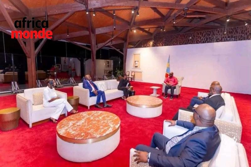Le président Felix TSHISEKEDI et une délégation du Collectif des élus français