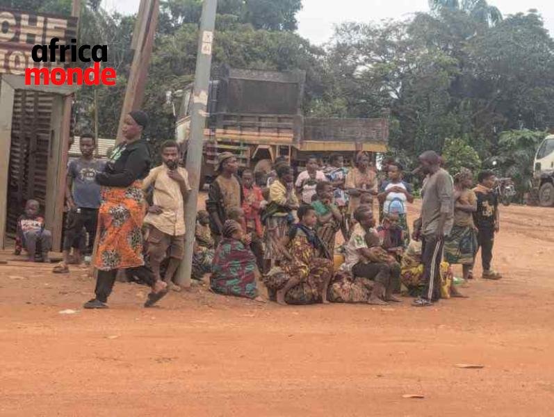 Familles pygmées  de Mambasa dans la province d'Ituri 