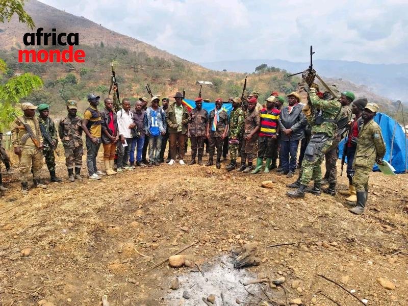 Coordination provinciale des Volontaires pour la Défense de la Patrie (VDP/Sud-Kivu),