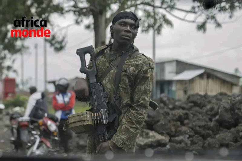 Les Forces armées de la République démocratique du Congo (FARDC), appuyées par les combattants Wazalendo