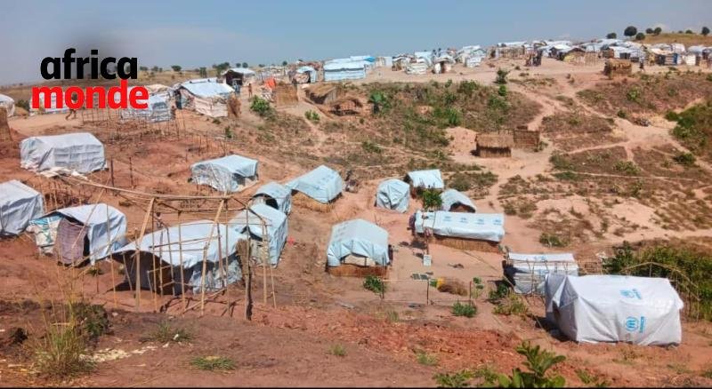 Le Camp des déplacées dans la province du Nord-Kivu. 