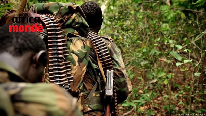 Forces armées de la République démocratique du Congo (FARDC)