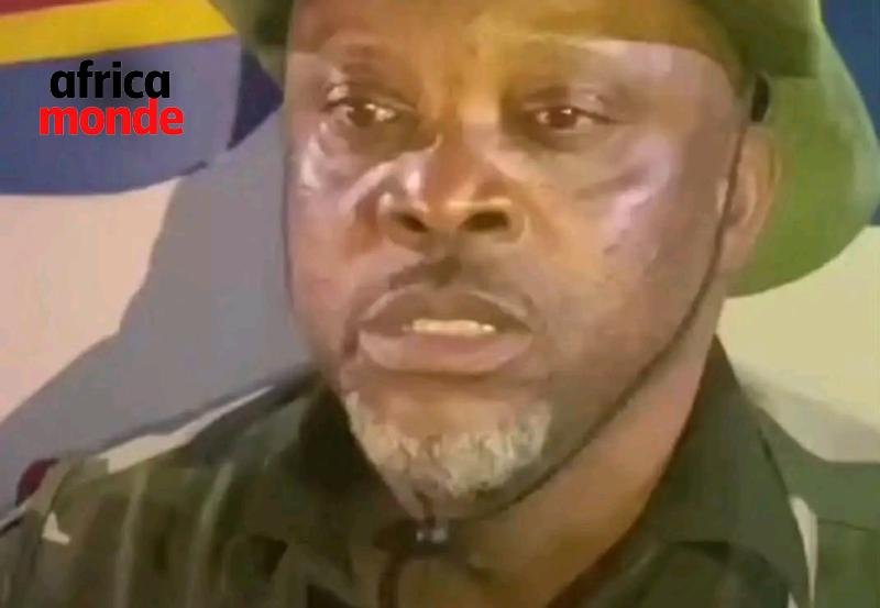 Fils Mukoko , membre de l'UDPS