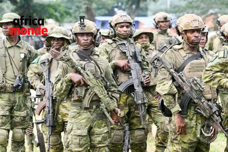 Les Forces armées de la République démocratique du Congo (FARDC)