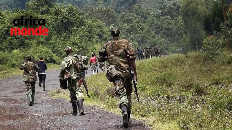 Les Forces armées de la République démocratique du Congo (FARDC),